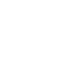 Paving &amp; Pathways