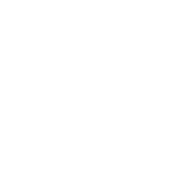 Decking &amp; Pergola