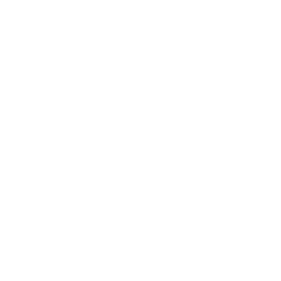 Pressure Washing &amp; Repointing