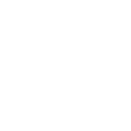 Summerhouse &amp; Shed Building